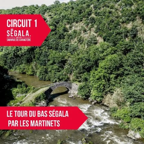 Image qui illustre: Circuit Vtt Vae - Le Tour Du Bas Ségala Par Les Martinets Du Lézert