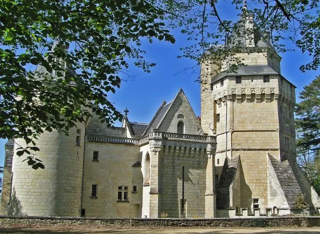 Image qui illustre: Château de Ternay