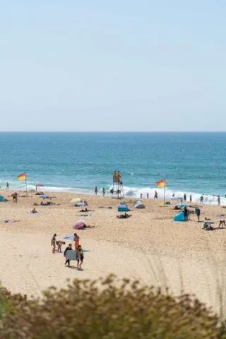 Image qui illustre: Plage De L'océan