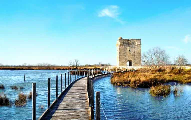 Image qui illustre: Maison Du Grand Site De France Camargue Gardoise