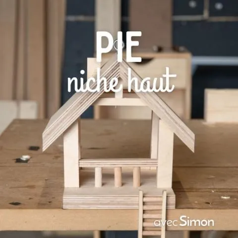 Image qui illustre: Fabriquez votre maison en bois pour oiseaux