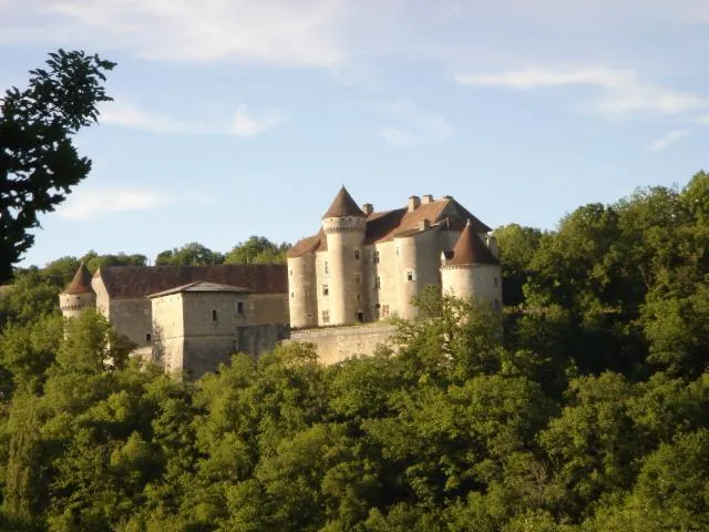 Image qui illustre: Visite d'un château médiéval commentée par son propriétaire