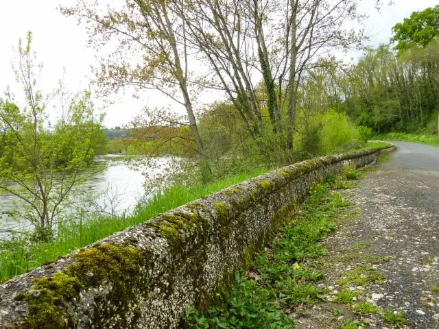 Image qui illustre: Balade dans la Vallée de la Dordogne