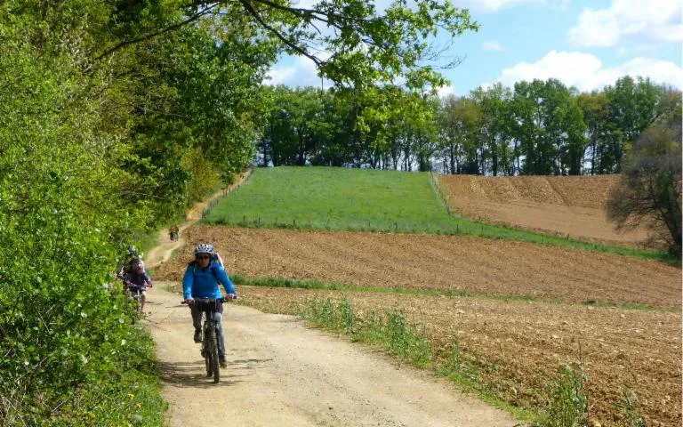 Image qui illustre: Vtt 6 Tour Du Pays De Nay