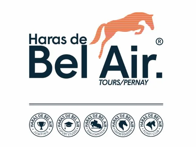Image qui illustre: Haras De Bel Air
