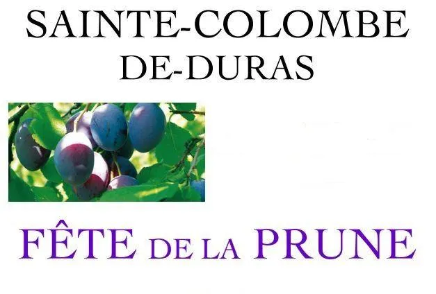 Image qui illustre: Fête De La Prune