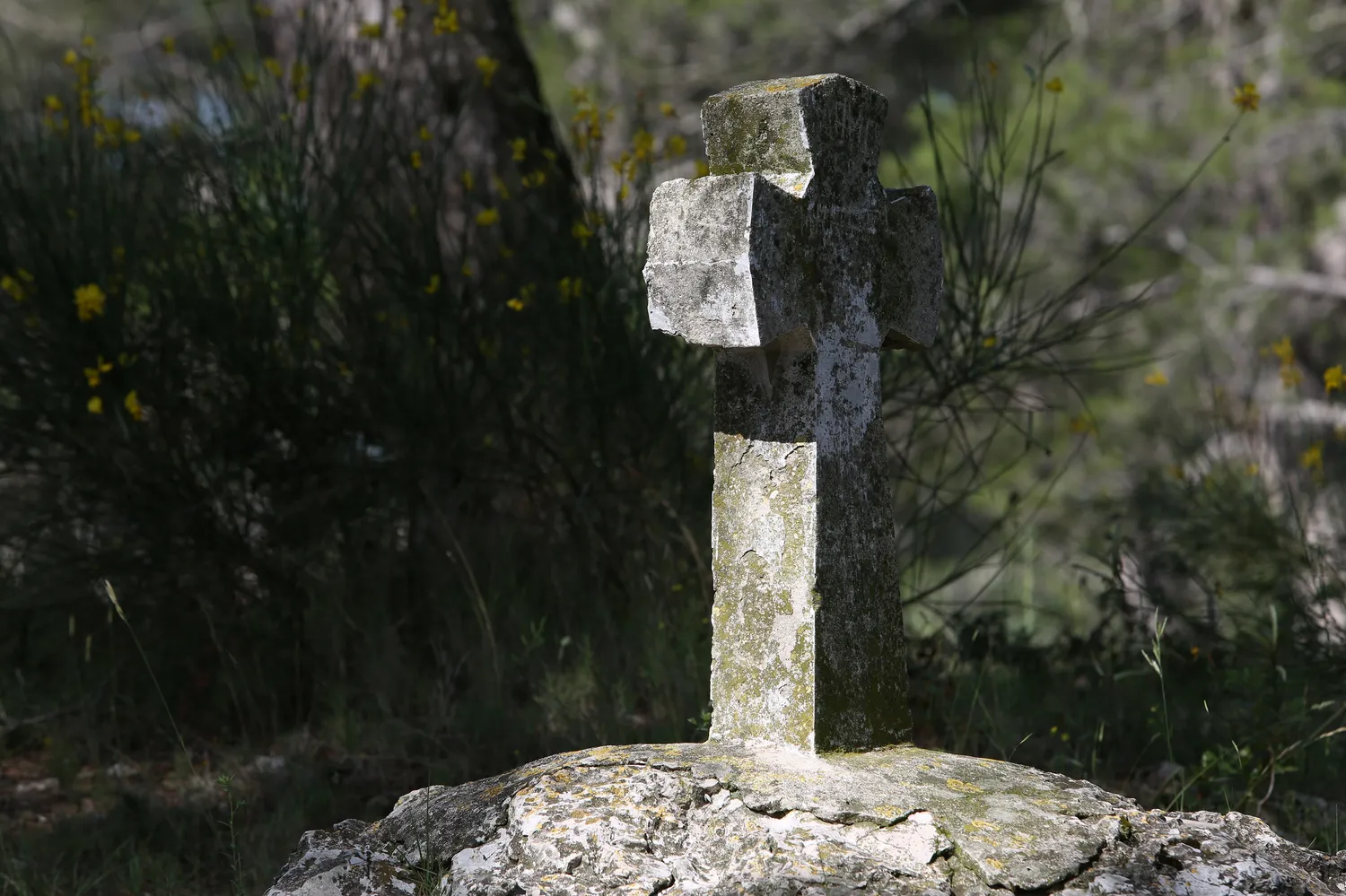 Image qui illustre: Circuits des Croix, Oratoires et Oubliées dans la Montagnette et le village à Barbentane - 0