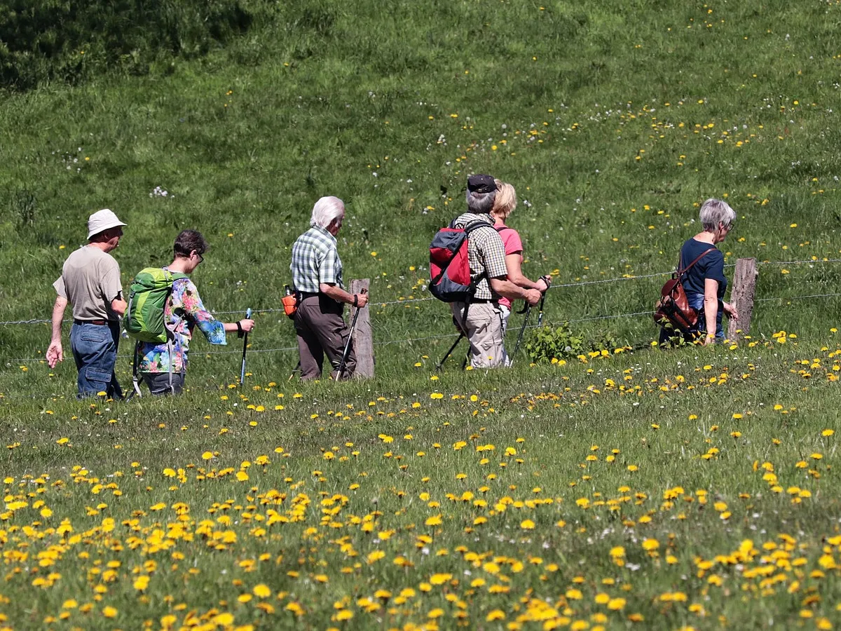 Image qui illustre: Fete De La Randonnee Pédestre à Limoux - 0