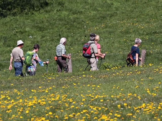 Image qui illustre: Fete De La Randonnee Pédestre