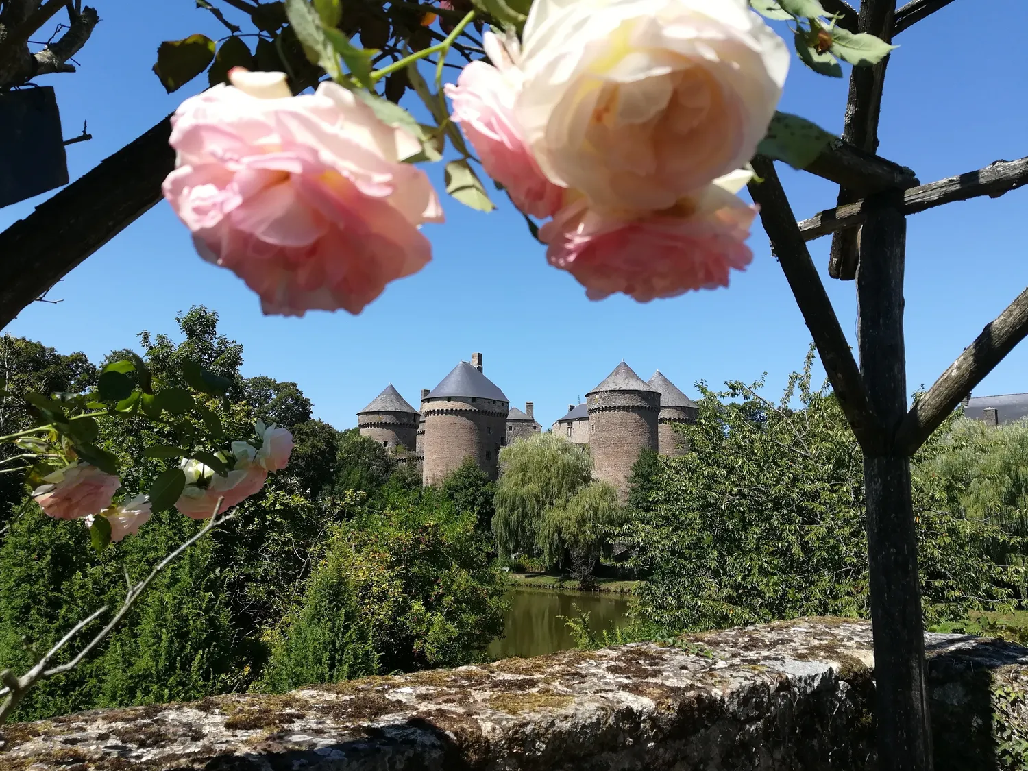 Image qui illustre: Visite guidée de la roseraie et du jardin médiéval à Lassay-les-Châteaux - 0