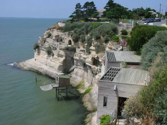 Image qui illustre: Les falaises de Meschers-sur-Gironde