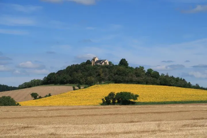 Image qui illustre: Visite commentée de la chapelle Saint-Pierre du Mont Sabot