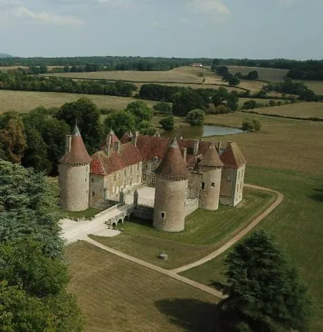 Image qui illustre: Visite guidée du château d'Épiry
