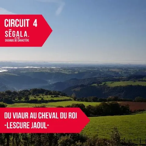 Image qui illustre: Circuit Vtt Vae - Du Viaur Au Cheval Du Roi - Lescure Jaoul