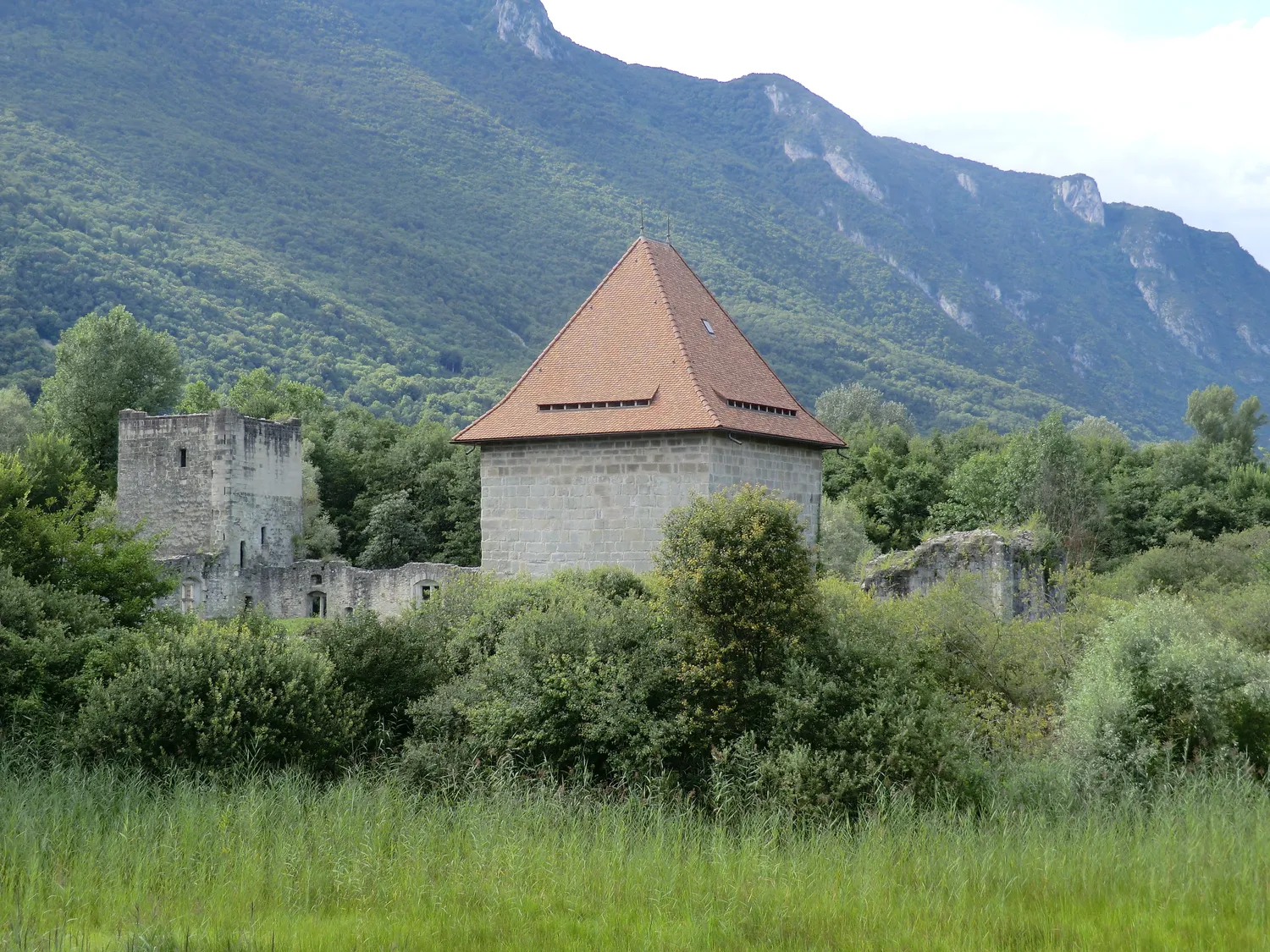 Image qui illustre: Le château de Thomas II, un palais ruiné entre lac et marais à Le Bourget-du-Lac - 0