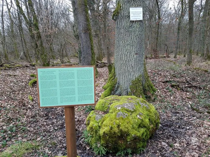 Image qui illustre: Pierre Tournante Dicke Udel à Vahl-Ebersing - 1