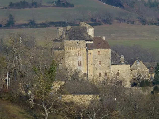 Image qui illustre: Chateau De Montjezieu
