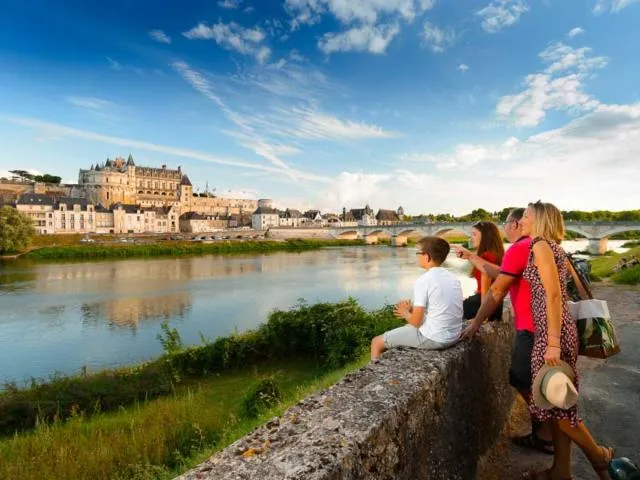 Image qui illustre: Château Royal D'amboise