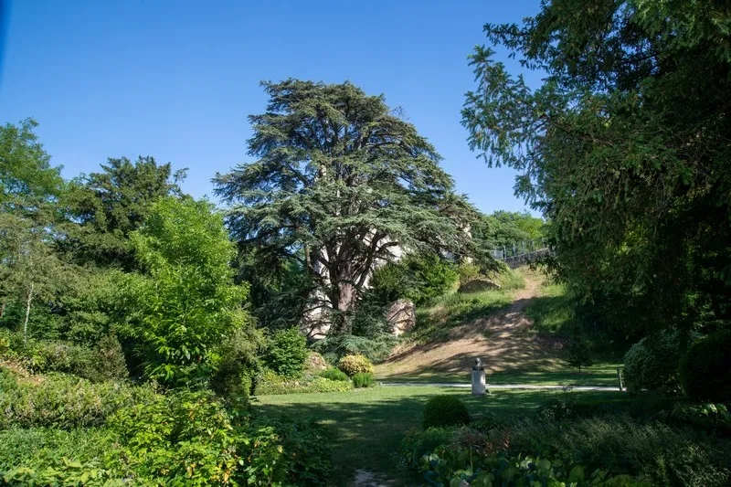 Image qui illustre: Parc Et Vestiges Du Château De Vendôme à Vendôme - 0