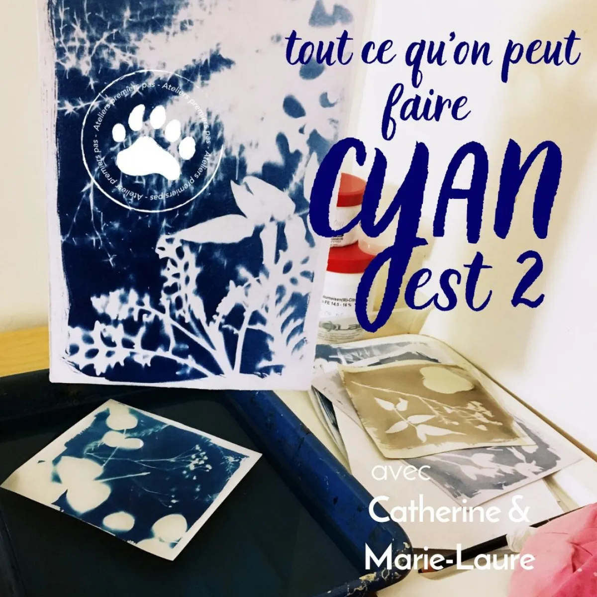 Image qui illustre: Réalisez des photos en cyanotype en famille à Paris - 0