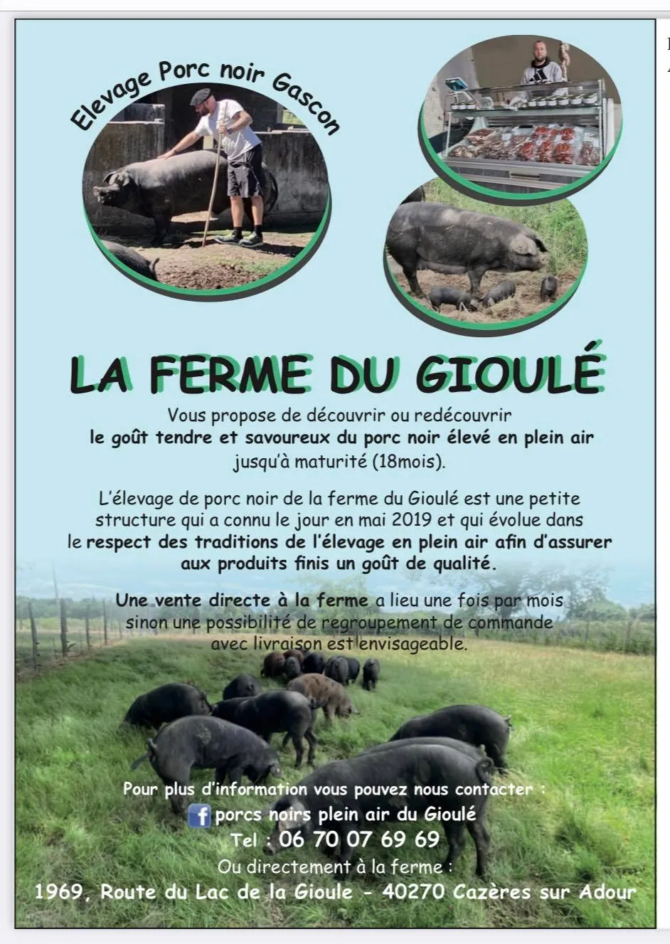 Image qui illustre: Porcs Noirs Plein Air Du Gioulé à Cazères-sur-l'Adour - 0