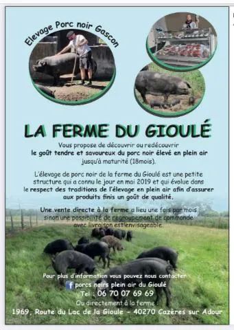 Image qui illustre: Porcs Noirs Plein Air Du Gioulé