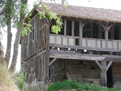 Image qui illustre: Rives, Une Balade Aux Portes Du Périgord