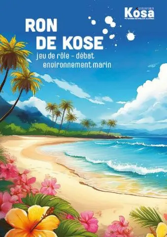 Image qui illustre: Ron de Kose - jeu de rôle, débat - patrimoine naturel marin, les hommes et leur rapport à la mer