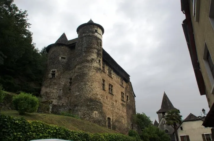 Image qui illustre: Château Fort De Vieillevie
