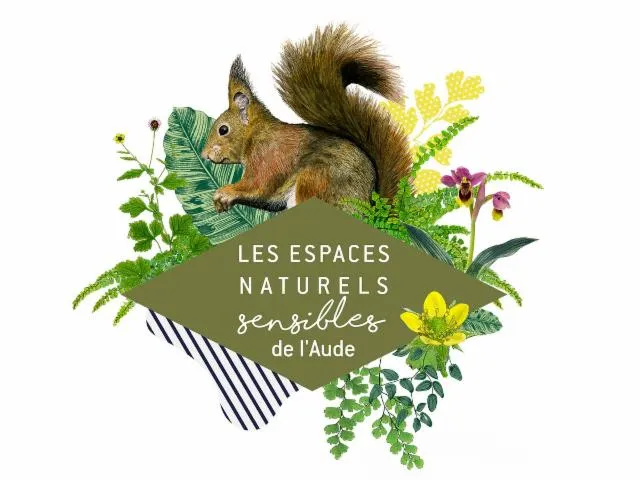 Image qui illustre: Ens - La Biodiversité Sur Le Chemin Des Écoliers
