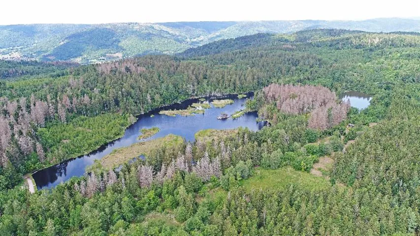 Image qui illustre: Plateau des Mille Étangs