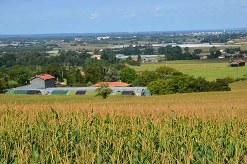Image qui illustre: Birac-sur-trec, Des Coteaux À La Plaine De Garonne à Birac-sur-Trec - 1