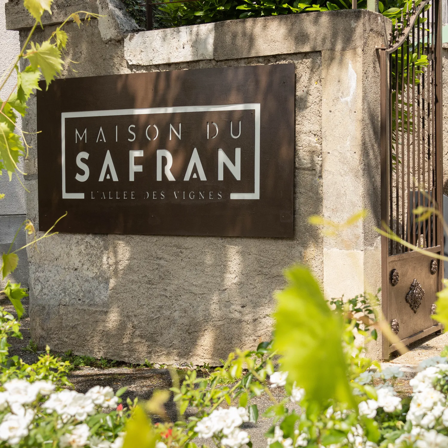Image qui illustre: La Maison Du Safran À L'allée Des Vignes à Cajarc - 0