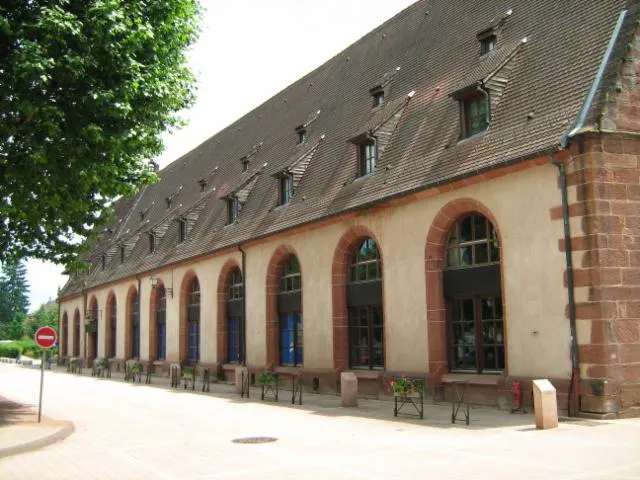 Image qui illustre: Musée Du Pays De Hanau