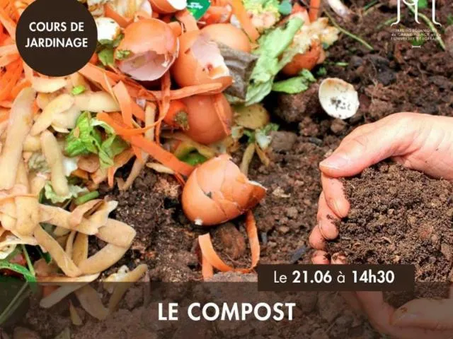 Image qui illustre: Discussion - Le Compost