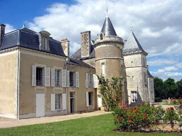 Image qui illustre: Château De Masseuil
