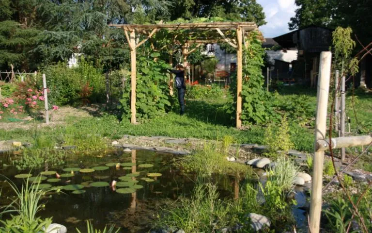 Image qui illustre: Conservatoire Des Légumes Anciens Du Béarn