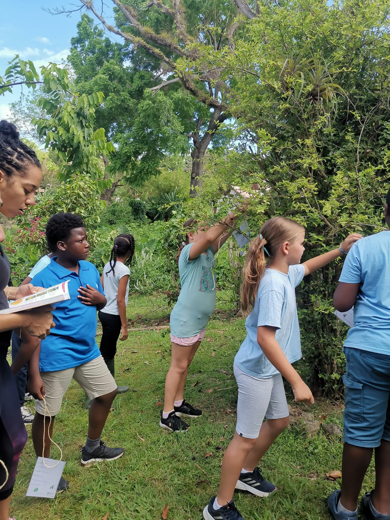 Image qui illustre: Visite du jardin partagé avec l'école Félix Laban et l'amicale du Parc national de la Guadeloupe à Saint-Claude - 0