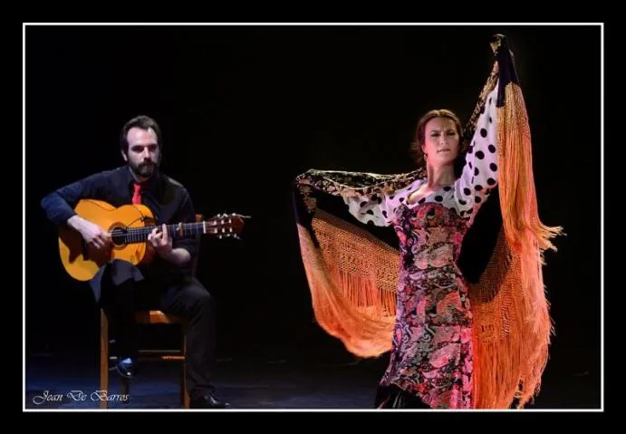 Image qui illustre: Tablao Flamenco
