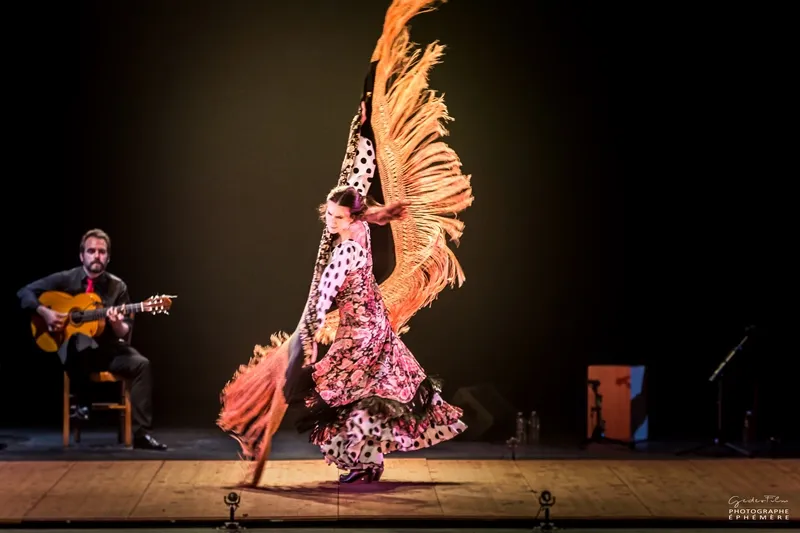 Image qui illustre: Tablao Flamenco à Le Blanc - 1