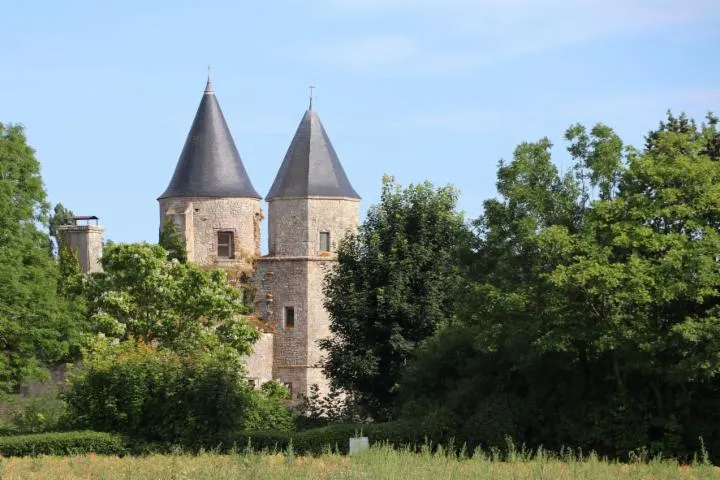 Image qui illustre: Château De Courcelles-le-roi
