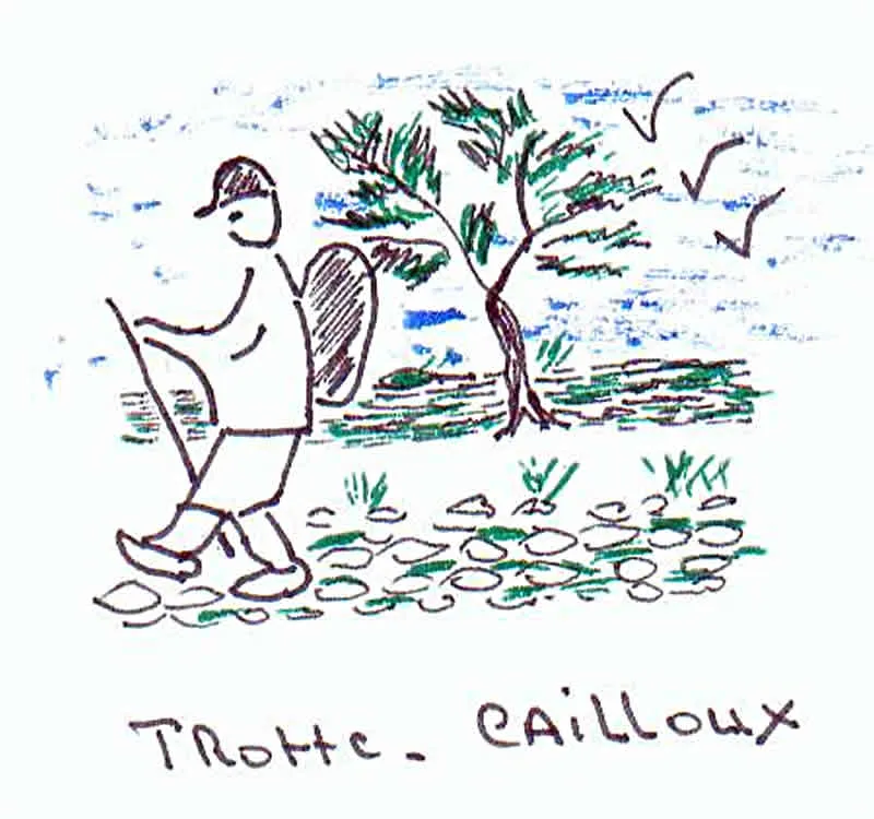 Image qui illustre: Randonnée Pédestre Trotte Cailloux à Saint-Paul-Flaugnac - 1