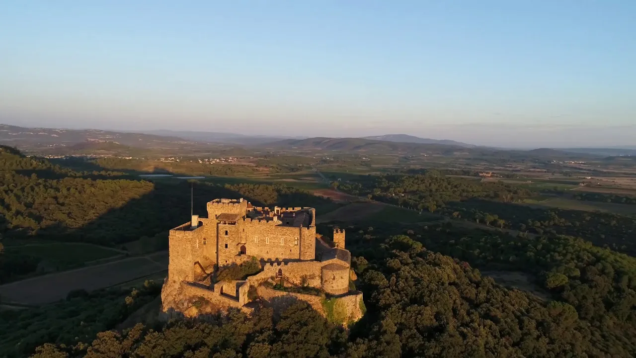 Image qui illustre: Château de Saint-Martin-de-Toques