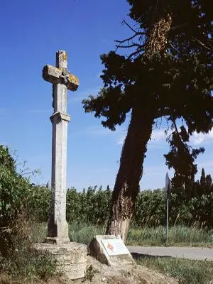 Image qui illustre: Croix du Mas de la Croix à Noves - 1