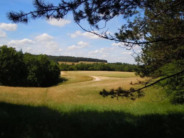 Image qui illustre: Parc De La Combe À La Serpent