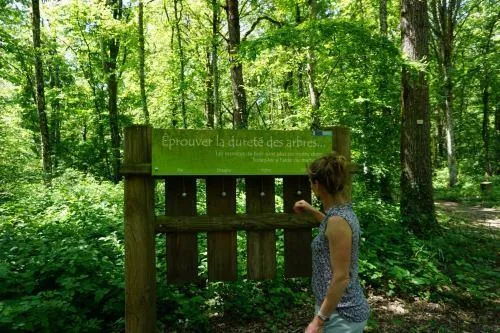 Image qui illustre: Sentier Du Bois Du Malaumont