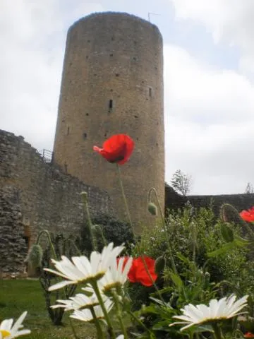 Image qui illustre: Visite Du Vieil Aurignac