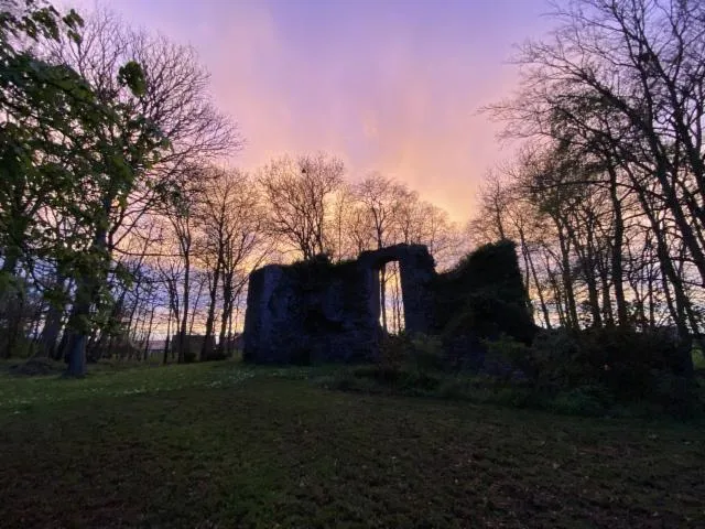 Image qui illustre: Visite guidée des vestiges du Plessis-Bertrand