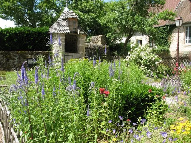 Image qui illustre: Jardin Du Cloître