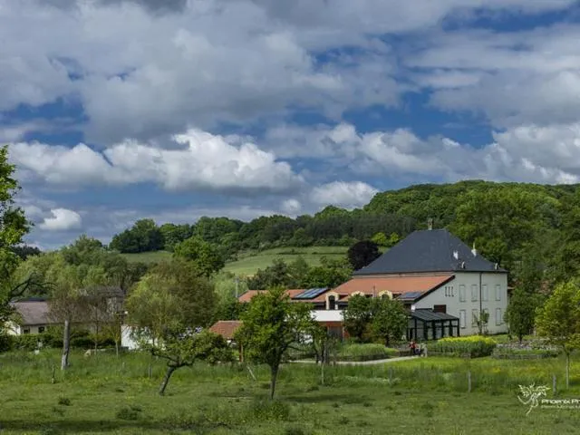 Image qui illustre: Moulin De Buding